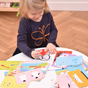Let's Write and Wipe Animals 3+ - write-on wipe-off activity cards