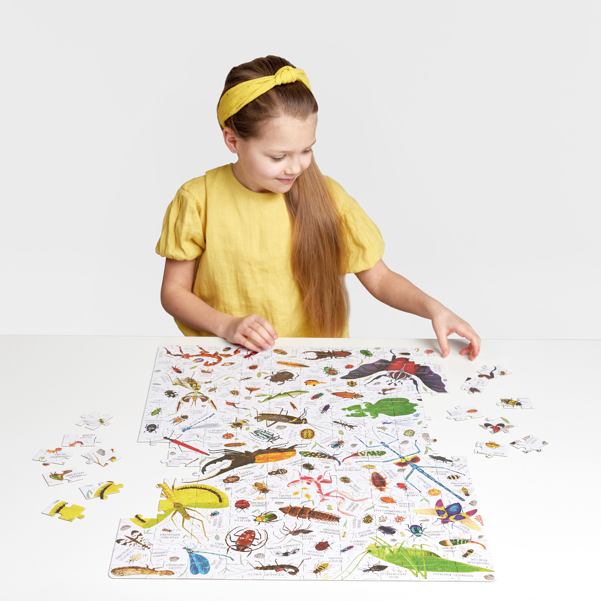 Puzzlove Inscets