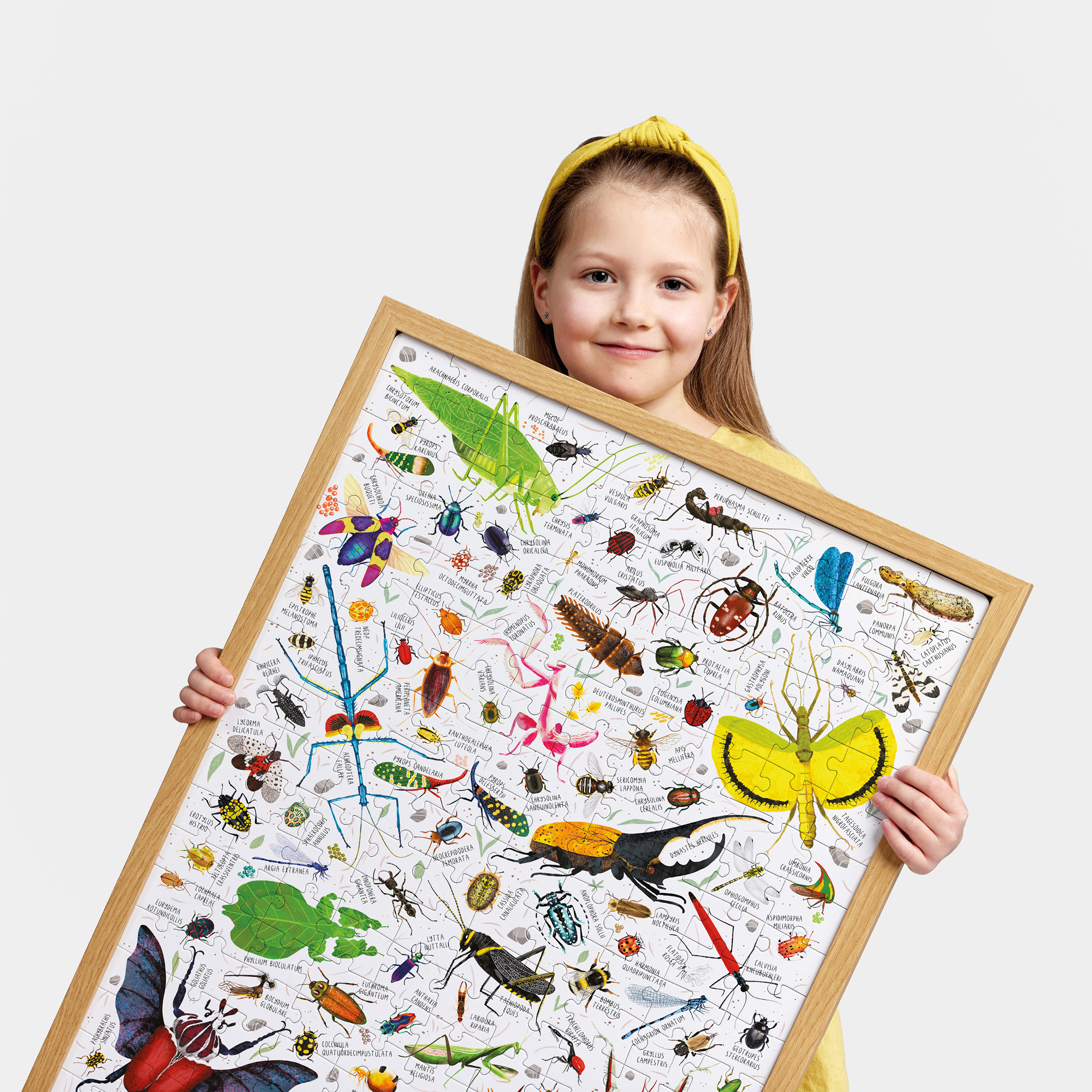 Puzzlove Inscets